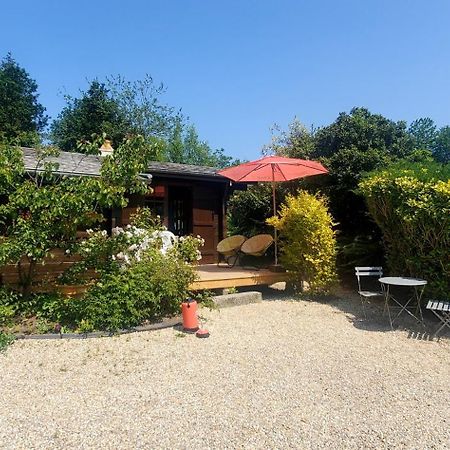 Chalet En Pleine Nature Au Bord D'Un Etang Lanvallay Zewnętrze zdjęcie