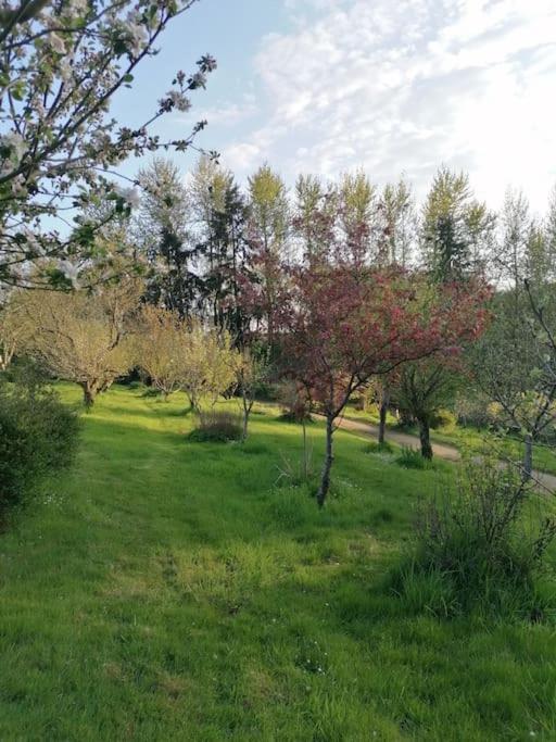 Chalet En Pleine Nature Au Bord D'Un Etang Lanvallay Zewnętrze zdjęcie