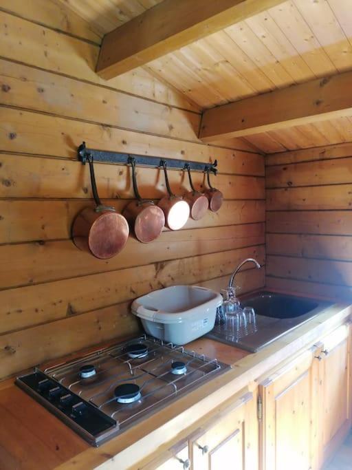 Chalet En Pleine Nature Au Bord D'Un Etang Lanvallay Zewnętrze zdjęcie