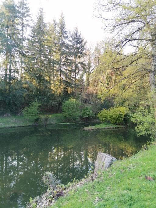 Chalet En Pleine Nature Au Bord D'Un Etang Lanvallay Zewnętrze zdjęcie