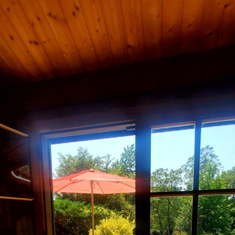 Chalet En Pleine Nature Au Bord D'Un Etang Lanvallay Zewnętrze zdjęcie